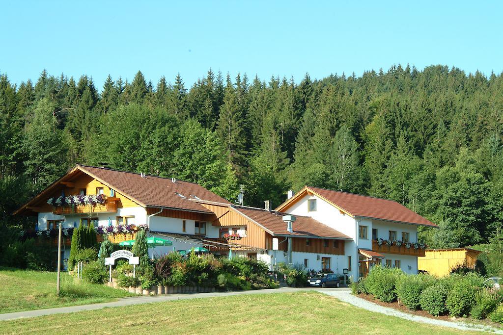 Gasthaus Pension Sternknockel Bodenmais Dış mekan fotoğraf