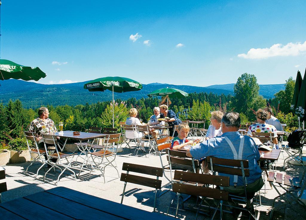 Gasthaus Pension Sternknockel Bodenmais Dış mekan fotoğraf