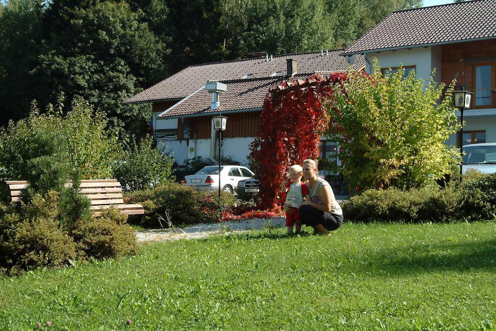 Gasthaus Pension Sternknockel Bodenmais Dış mekan fotoğraf